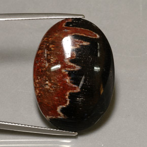 27,38 ctw natürlicher mehrfarbiger Jaspis, Oval Schliff, Lichtundurchlässig