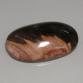 60,69 ctw natürlicher mehrfarbiger Jaspis, Oval Schliff, Lichtundurchlässig