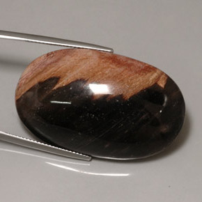 60,69 ctw natürlicher mehrfarbiger Jaspis, Oval Schliff, Lichtundurchlässig