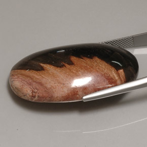 60,69 ctw natürlicher mehrfarbiger Jaspis, Oval Schliff, Lichtundurchlässig