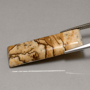 16,90 ctw natürlicher mehrfarbiger Jaspis, Baguette, Lichtundurchlässig