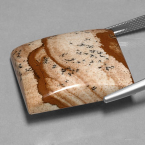 40,54 ctw natürlicher mehrfarbiger Jaspis, Baguette, Lichtundurchlässig