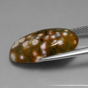 10,86 ctw natürlicher mehrfarbiger Jaspis, Oval Schliff, Lichtundurchlässig