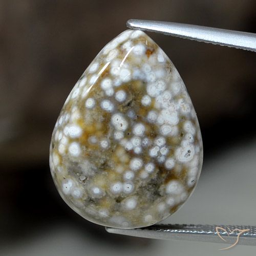 23.63ct Natürlicher Mehrfarbig Jaspis, Birnenform, Lichtundurchlässig
