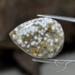 9,17 ctw natürlicher Mehrfarbig Jaspis, Birnenform, Lichtundurchlässig