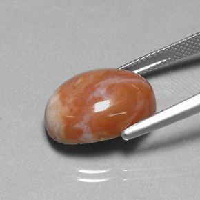 9,17 ctw natürlicher Mehrfarbig Jaspis, Oval Schliff, Lichtundurchlässig