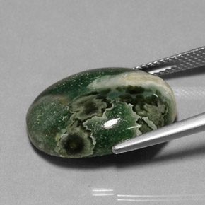13,88 ctw natürlicher mehrfarbiger Jaspis, Oval Schliff, Lichtundurchlässig