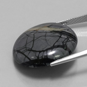 9,17 ctw natürlicher Mehrfarbig Jaspis, Rund Schliff, Lichtundurchlässig