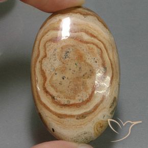 55,06 ct ovaler Jaspis, 41 x 26,4 mm aus Indonesien, Photo A