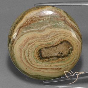 48.59ct Natürlicher Mehrfarbig Jaspis, Runden, Lichtundurchlässig