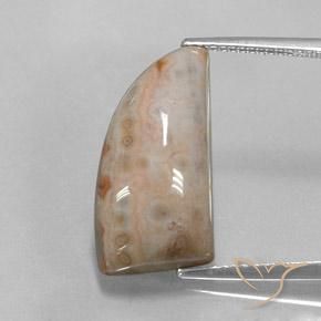 12.74ct Natürlicher Mehrfarbig Jaspis, Fantasie, Lichtundurchlässig
