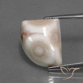 14.17ct Natürlicher Mehrfarbig Jaspis, Fantasie, Lichtundurchlässig