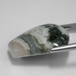 9,17 ctw natürlicher Mehrfarbig Jaspis, Ausgefallene Form, Lichtundurchlässig