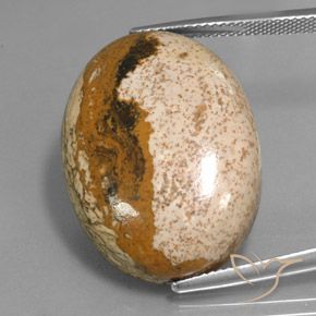 34.16ct Natürlicher Mehrfarbig Jaspis, Oval, Lichtundurchlässig