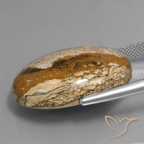 9,17 ctw natürlicher Mehrfarbig Jaspis, Oval, Lichtundurchlässig