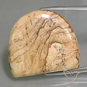 33.01ct Natürlicher Mehrfarbig Jaspis, Fantasie, Lichtundurchlässig