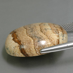 38,01 ctw natürlicher mehrfarbiger Jaspis, Oval Schliff, Lichtundurchlässig
