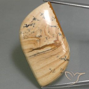 45.75ct Natürlicher Mehrfarbig Jaspis, Fantasie, Lichtundurchlässig
