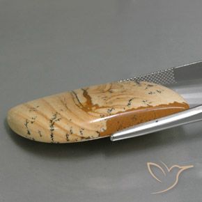 9,17 ctw natürlicher Mehrfarbig Jaspis, Fantasie, Lichtundurchlässig