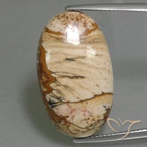 18.14ct Natürlicher Mehrfarbig Jaspis, Oval, Lichtundurchlässig