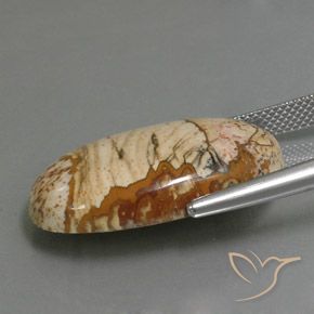 9,17 ctw natürlicher Mehrfarbig Jaspis, Oval, Lichtundurchlässig