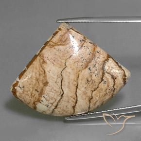 35.80ct Natürlicher Mehrfarbig Jaspis, Fantasie, Lichtundurchlässig