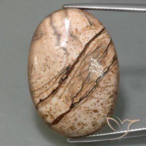 40.47ct Natürlicher Mehrfarbig Jaspis, Oval, Lichtundurchlässig
