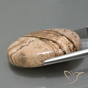 9,17 ctw natürlicher Mehrfarbig Jaspis, Oval, Lichtundurchlässig