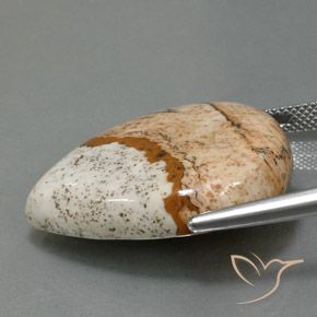 9,17 ctw natürlicher Mehrfarbig Jaspis, Birnenform, Lichtundurchlässig