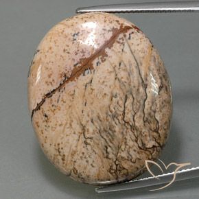 44.28ct Natürlicher Mehrfarbig Jaspis, Oval, Lichtundurchlässig