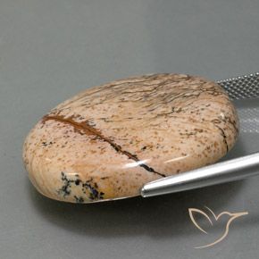 9,17 ctw natürlicher Mehrfarbig Jaspis, Oval, Lichtundurchlässig