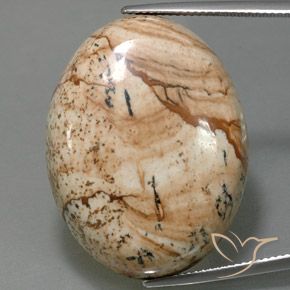 44.54ct Natürlicher Mehrfarbig Jaspis, Oval, Lichtundurchlässig