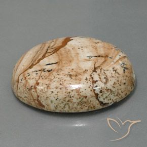 9,17 ctw natürlicher Mehrfarbig Jaspis, Oval, Lichtundurchlässig