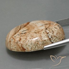 9,17 ctw natürlicher Mehrfarbig Jaspis, Oval, Lichtundurchlässig