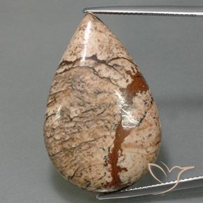 36.58ct Natürlicher Mehrfarbig Jaspis, Birnenform, Lichtundurchlässig
