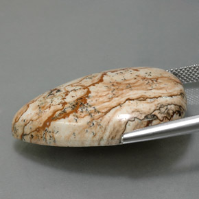 9,17 ctw natürlicher Mehrfarbig Jaspis, Birnenform, Lichtundurchlässig