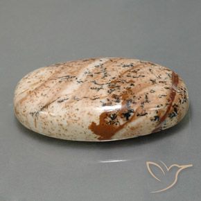 9,17 ctw natürlicher Mehrfarbig Jaspis, Oval, Lichtundurchlässig