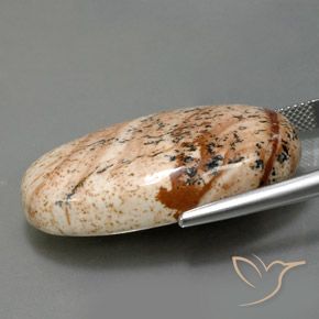 9,17 ctw natürlicher Mehrfarbig Jaspis, Oval, Lichtundurchlässig