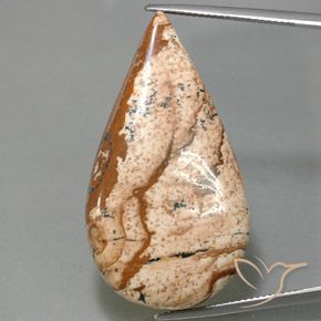 43.77ct Natürlicher Mehrfarbig Jaspis, Birnenform, Lichtundurchlässig