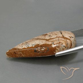 9,17 ctw natürlicher Mehrfarbig Jaspis, Birnenform, Lichtundurchlässig