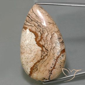 73.69ct Natürlicher Mehrfarbig Jaspis, Birnenform, Lichtundurchlässig