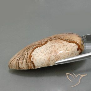 9,17 ctw natürlicher Mehrfarbig Jaspis, Birnenform, Lichtundurchlässig
