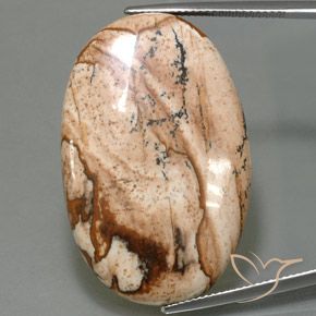 40.77ct Natürlicher Mehrfarbig Jaspis, Oval, Lichtundurchlässig
