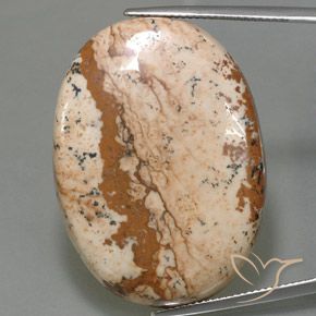 54.96ct Natürlicher Mehrfarbig Jaspis, Oval, Lichtundurchlässig