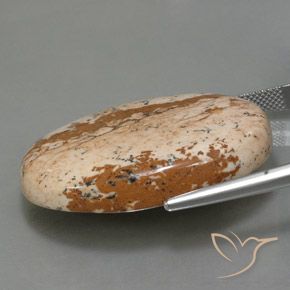 9,17 ctw natürlicher Mehrfarbig Jaspis, Oval, Lichtundurchlässig