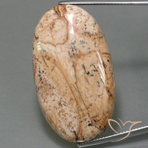 49.05ct Natürlicher Mehrfarbig Jaspis, Oval, Lichtundurchlässig
