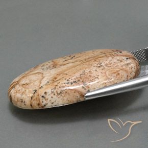 9,17 ctw natürlicher Mehrfarbig Jaspis, Oval, Lichtundurchlässig