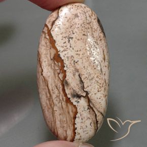 55.96ct Natürlicher Mehrfarbig Jaspis, Oval, Lichtundurchlässig