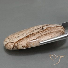 9,17 ctw natürlicher Mehrfarbig Jaspis, Oval, Lichtundurchlässig