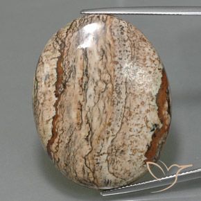 49.58ct Natürlicher Mehrfarbig Jaspis, Oval, Lichtundurchlässig
